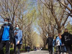 -老梦面包CHEZMOREL(麦子店)