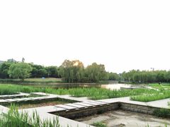 -中关村生命科学园