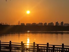 -艾溪湖湿地公园