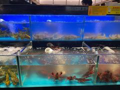 -苏格里岛自助烤肉海鲜火锅(成都金牛万达店)