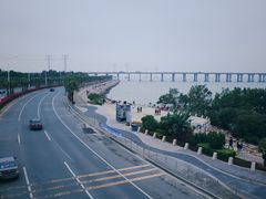 -宝安西湾红树林湿地公园