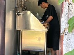 -宠物寄养训练学校