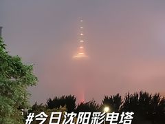 -辽宁电视塔
