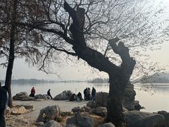 -东湖落雁景区