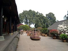 -峨眉山报国寺