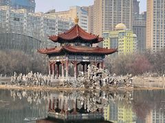 -青城公园