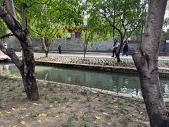 -春风习习