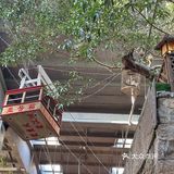  谁懂啊！建议线上提前排队，不然真吃不上！