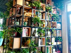 -ZING COFFEE 镜咖啡