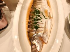 江南一品大白水鱼-松沪名灶·豆浆鱼头·新上海菜(江川路交大店)