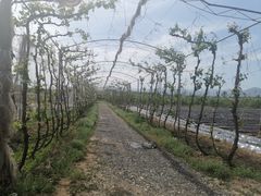 -亲兄弟真人CS团建拓展基地