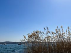 -鲁山国家森林公园