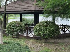-长广溪湿地公园