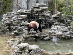 -杭州野生动物世界
