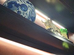 -东口码头·烧鸽子·鱼头泡饼·地方菜(金鹰悦城店)