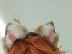-怪兽屋·羊驼·猫咖·狗咖(俊华广场店)