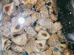 -鑫渔港海鲜本地菜·山海关浑锅(东戴河店)