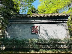 -青城山