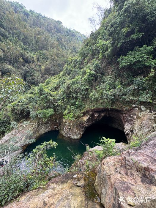 旗山国家森林公园图片