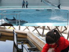 -鹿儿岛水族馆