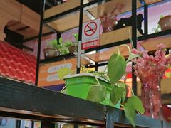 -小草大排档(北沙坡店)