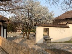 -北京世界公园