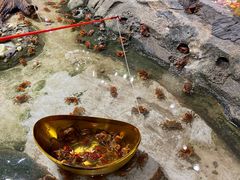 -正佳雨林生态植物园