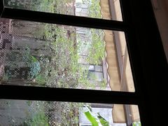 -外婆家(杭州马塍店·杭帮菜名店)