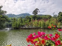-广州市帽峰山景区