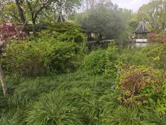 -上海醉白池公园