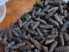 -宫品海参专卖店(静安大宁店)