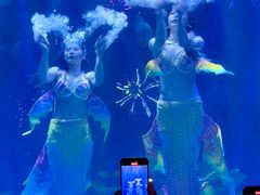 -华夏文旅海洋公园