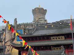 -上海东林寺(金山区)