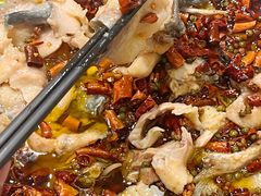 -成都美食巫山烤鱼(三里河路店)