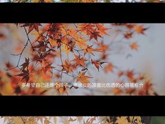 -秋霞圃