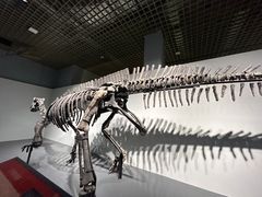 -大连自然博物馆·地球展厅