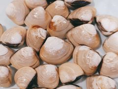 -滋粥楼·顺德菜海鲜茶点(方舟店)