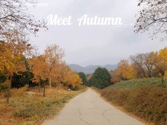 -北京西山国家森林公园