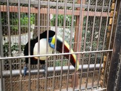 -南宫五洲植物乐园