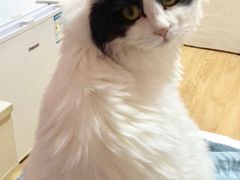 -味千拉面(双井店)