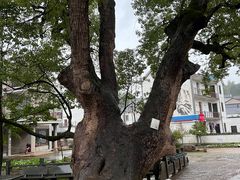 -清漾毛氏文化村