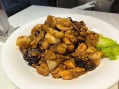 八珍豆腐-普天和酒楼(天津之眼店)