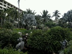android_upload_pic-三亚亚龙湾天域度假酒店