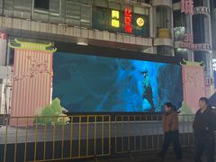 -沙洲路步行街(长安南路店)
