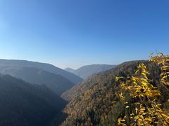 -凤凰山国家森林公园