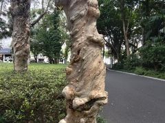 -南宁南湖公园