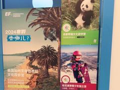 -英孚教育青少儿(宝龙中心)