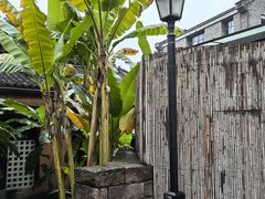 -铜锣湾·有麝自然香(重庆新天地店)