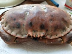 -丽莎蓓甜CAKE生日蛋糕·动物奶油(石家庄店)