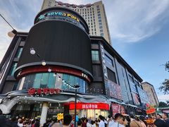 -复旦软件园